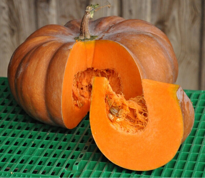 Courge Musquée de Provence