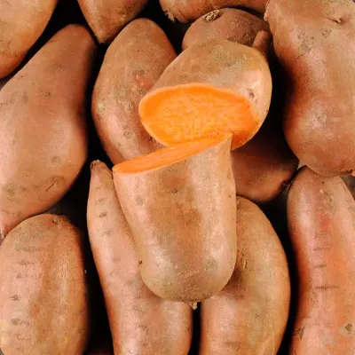 Légumes racines