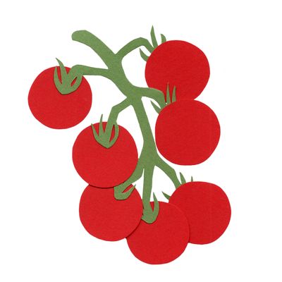 Tomates Cerises et Dattes (pots 10cm)