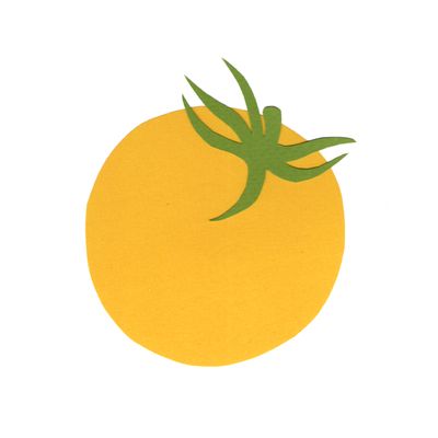 Tomates tardives (pots 10cm)