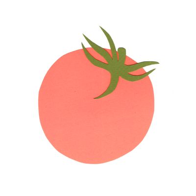 Tomates mi-saison (pots 10cm)