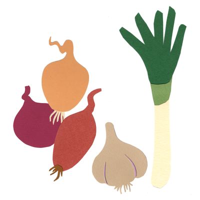 Ail, oignons, poireaux