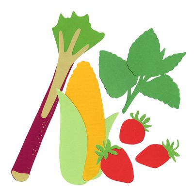 Autres spécialités