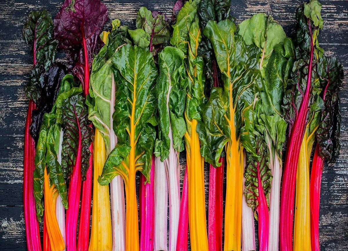 Côte de bette rouge (pot de 12cm)