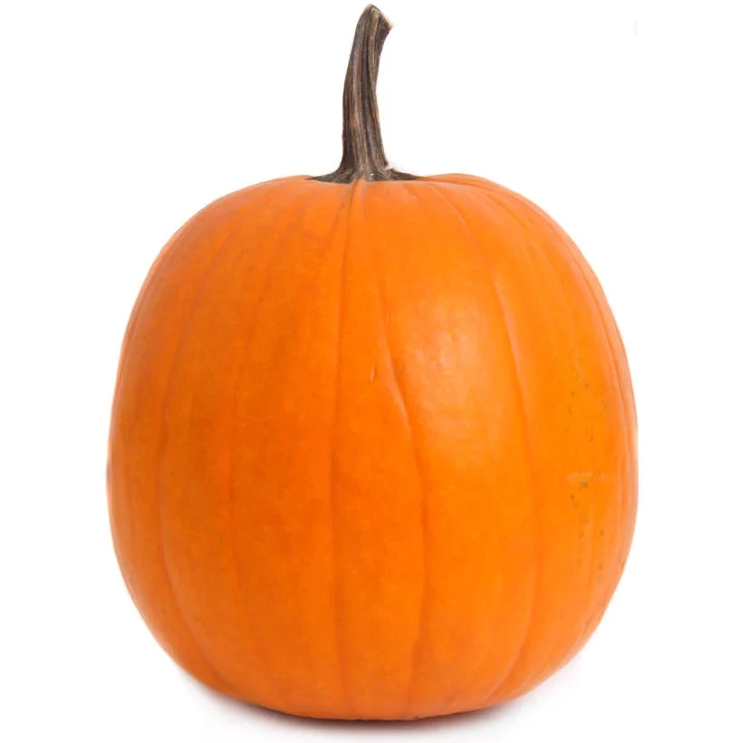 Courge Jack O'Lantern
