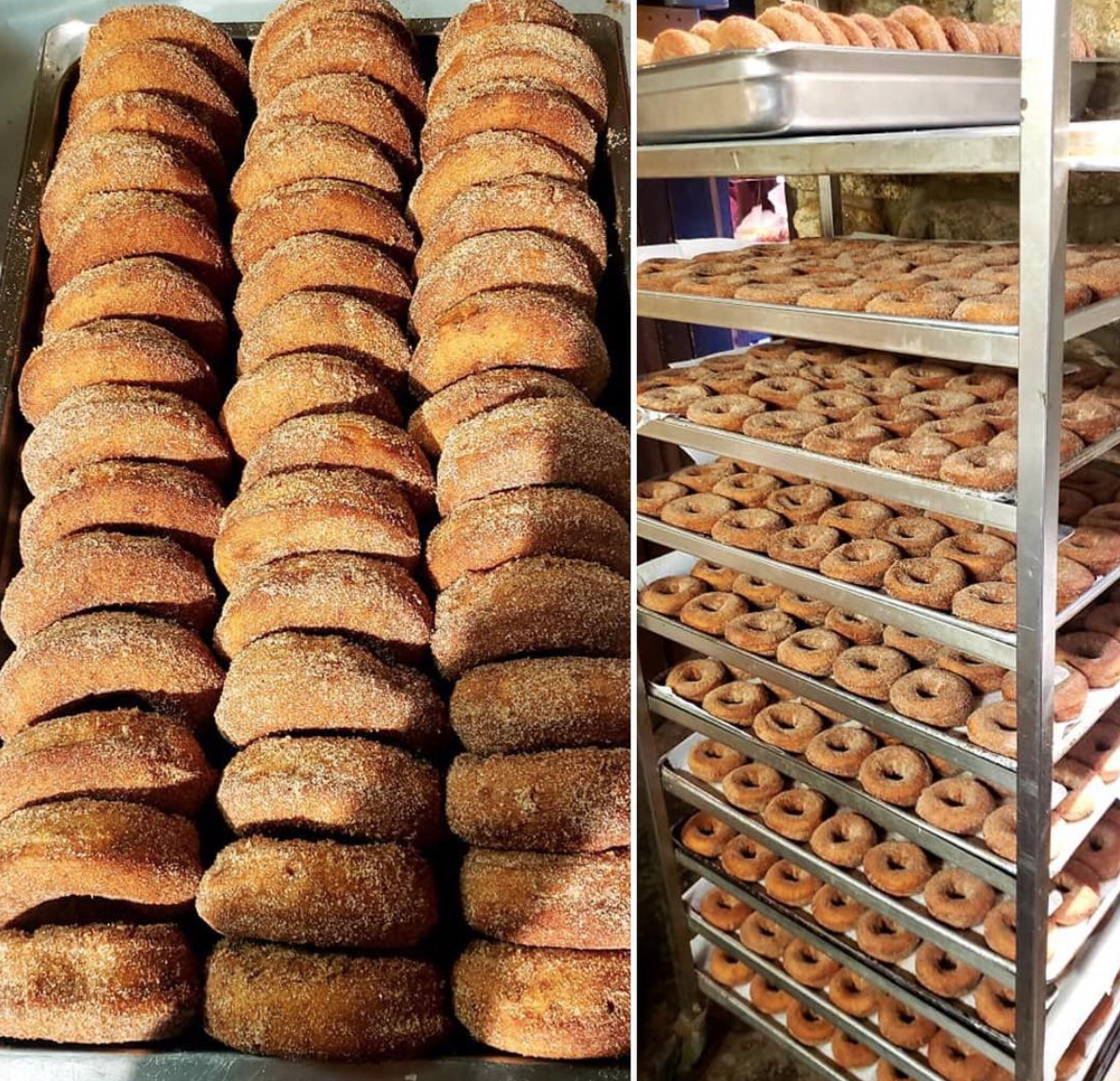 Cider Donuts Cider Donuts