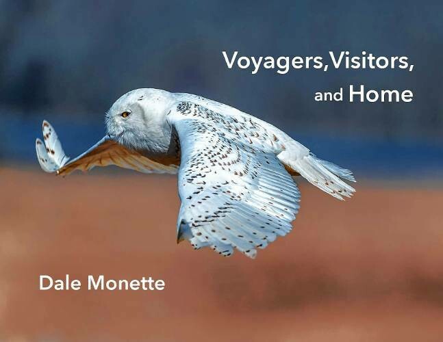 Voyagers, Visitors, and Home Book Voyagers, Visitors, and Home Book
