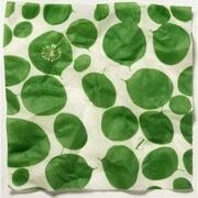 Z Wraps - XL - Leafy Green Z Wraps - XL - Leafy Green