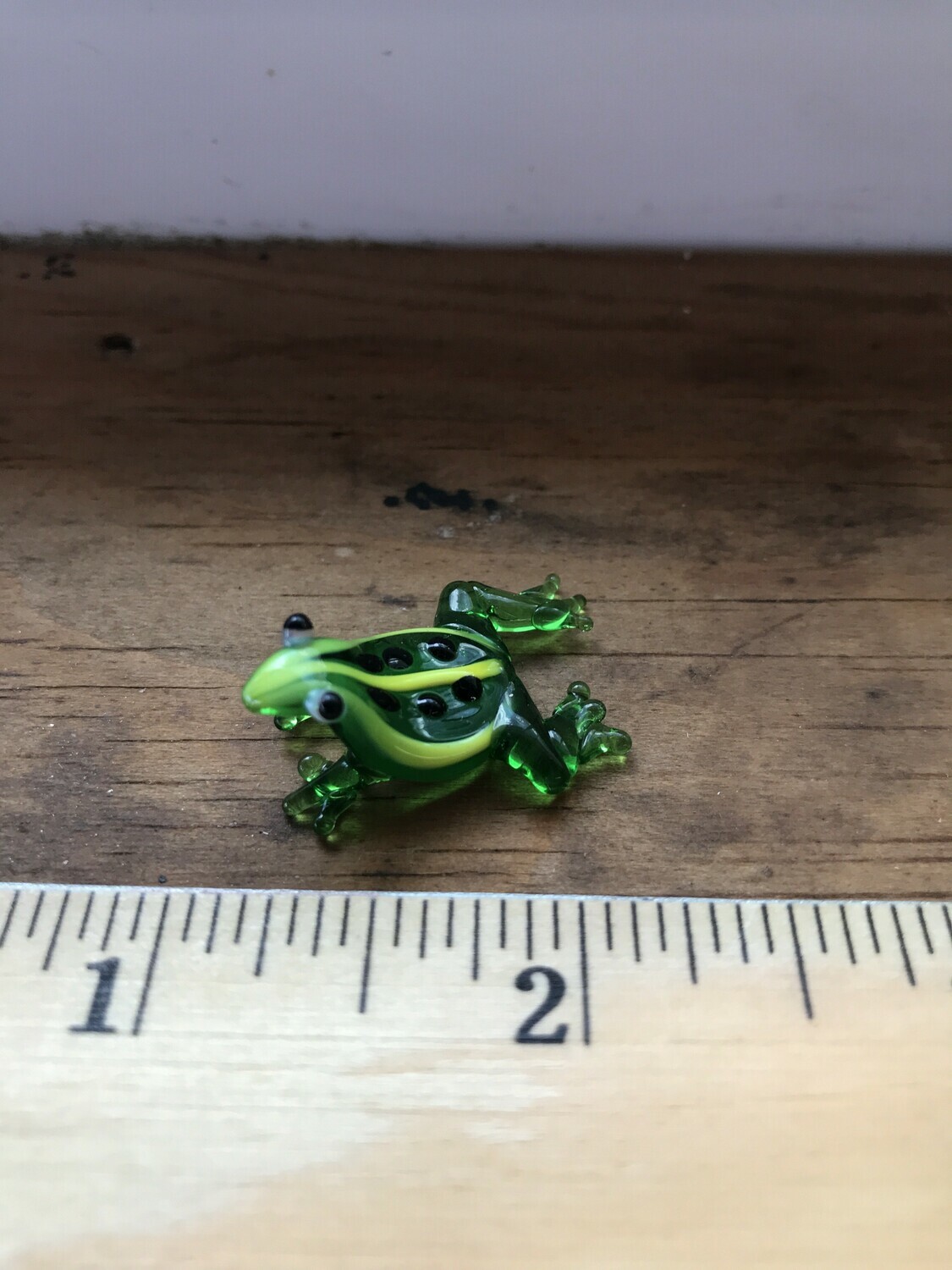 Glass Animal - FROG Glass Animal - FROG