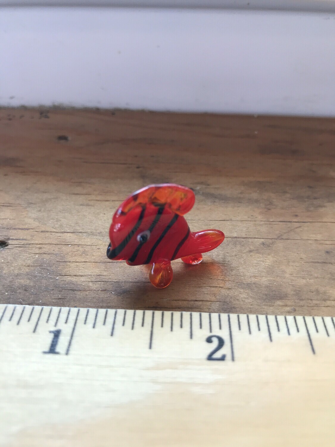 Glass Animal - FISH Glass Animal - FISH