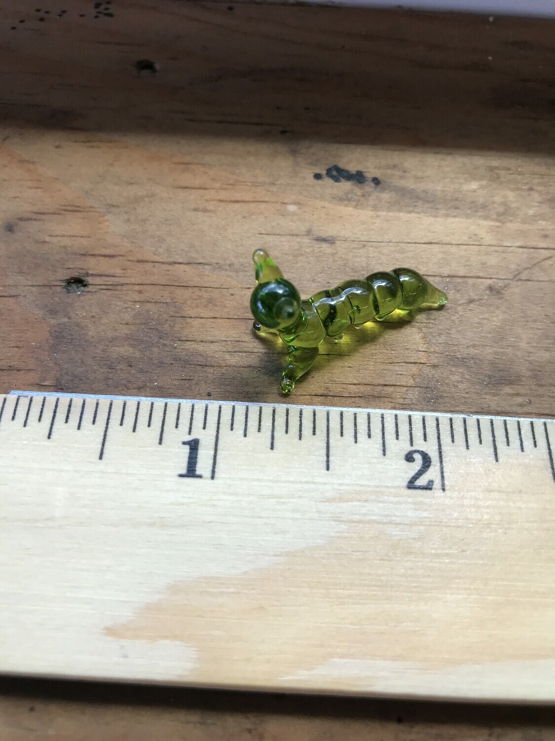 Glass Animal - INCH WORM Glass Animal - INCH WORM
