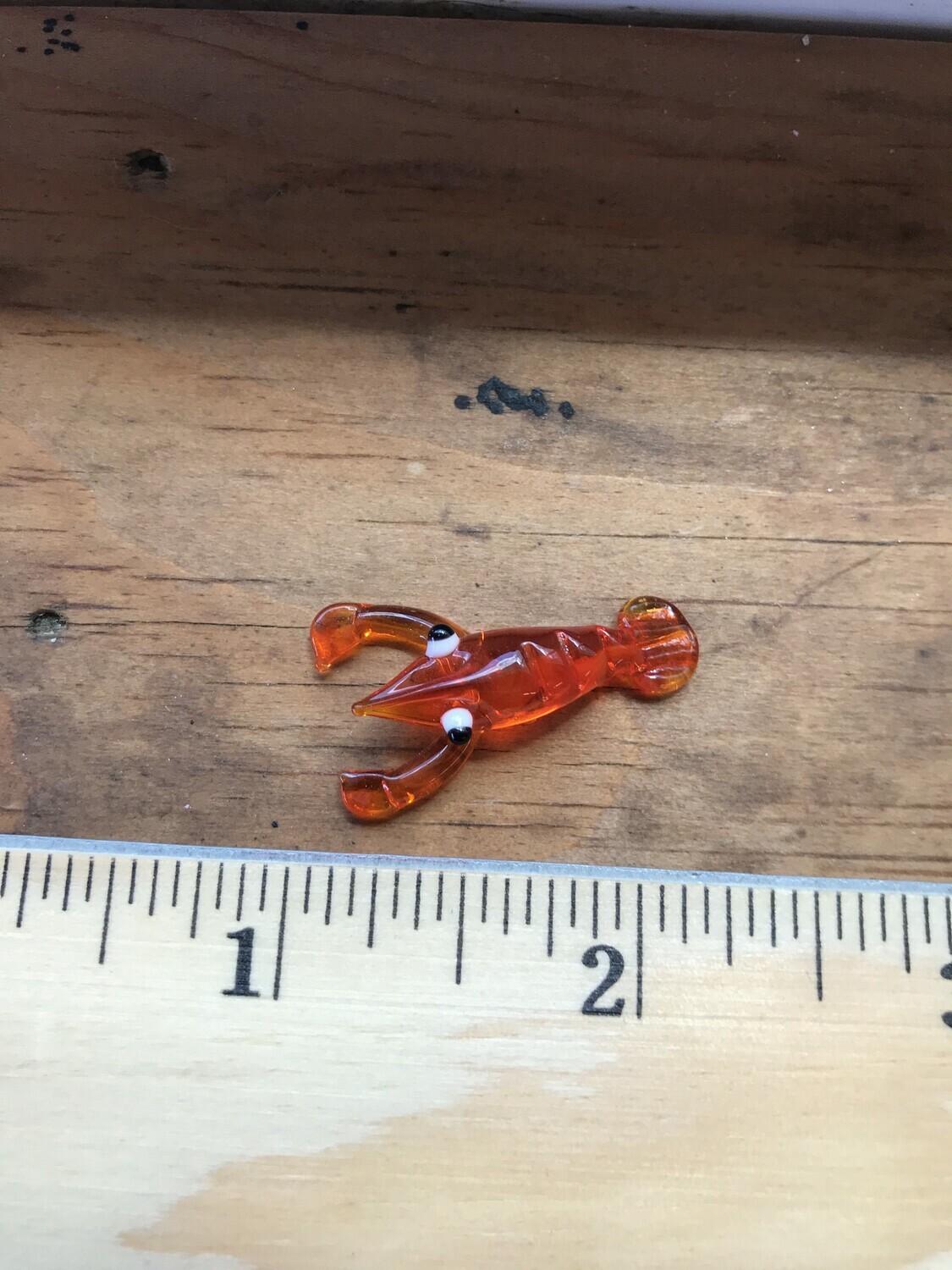 Glass Animal - LOBSTER Glass Animal - LOBSTER