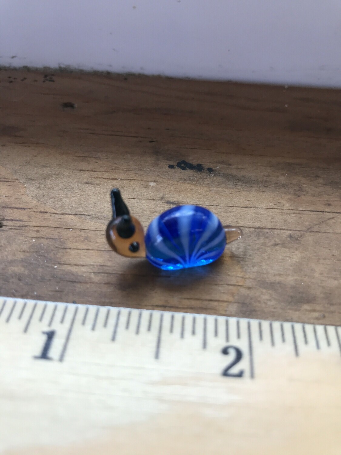 Glass Animal - SNAIL Glass Animal - SNAIL