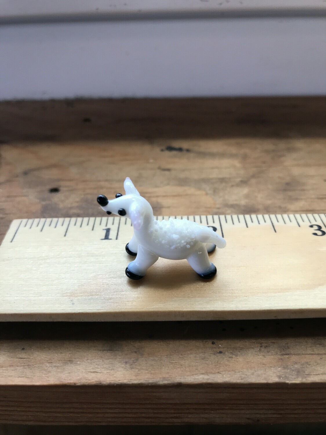 Glass Animal - LAMB Glass Animal - LAMB