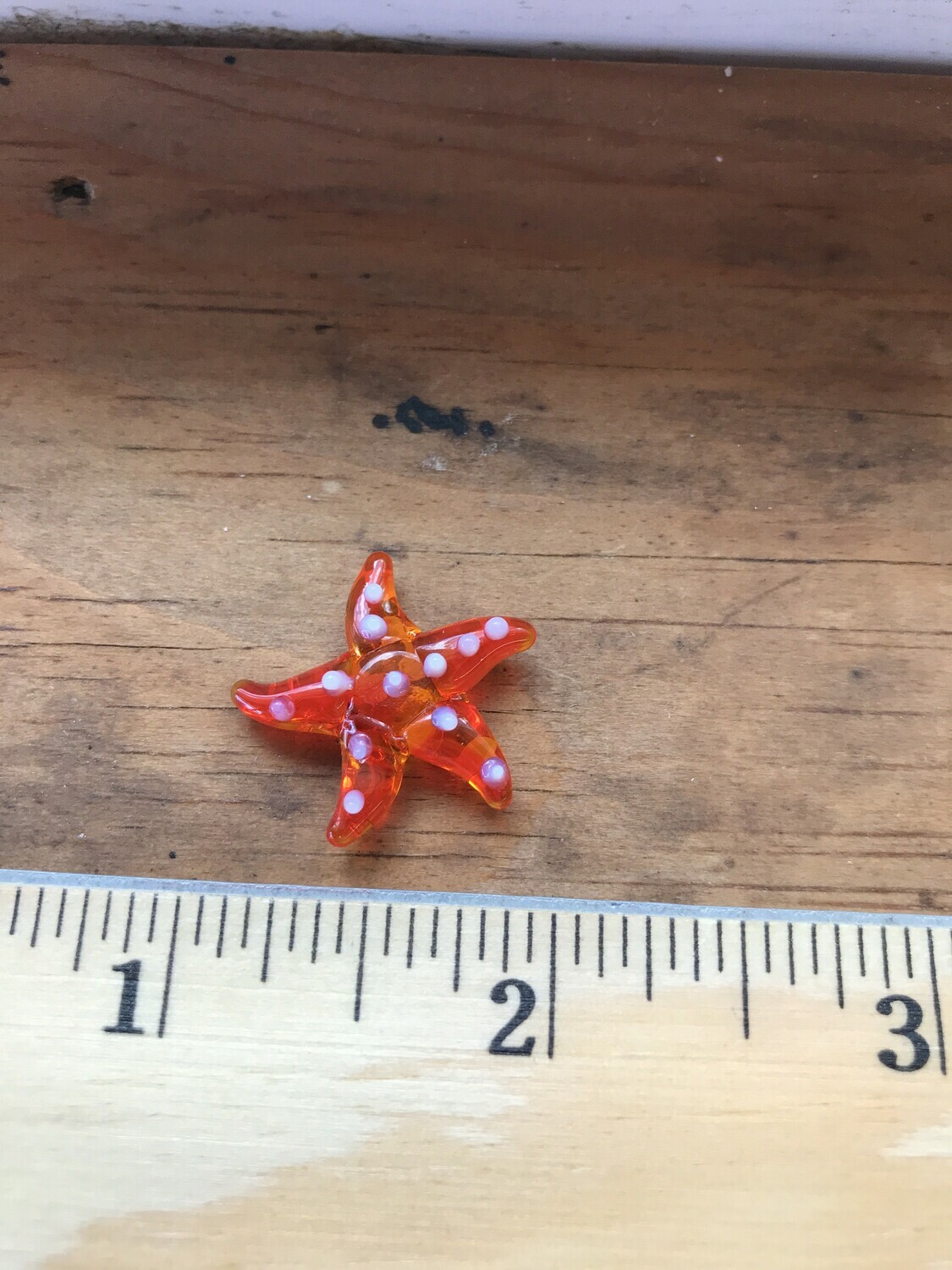 Glass Animal - STARFISH Glass Animal - STARFISH
