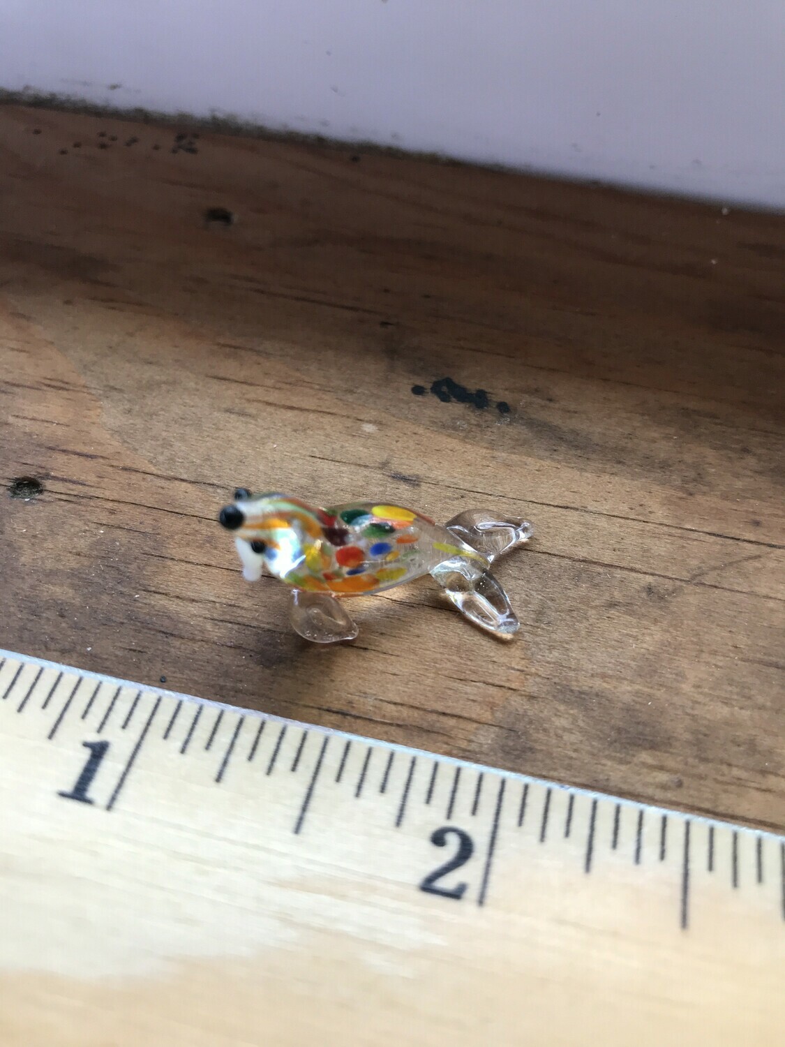 Glass Animal - WALRUS Glass Animal - WALRUS