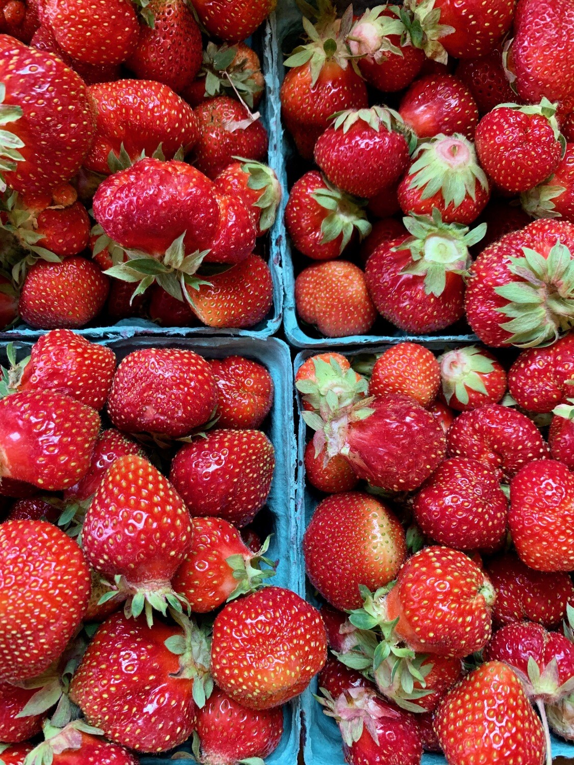 Valley Strawberries - Fresh Picked (1 Quart) Valley Strawberries - Fresh Picked (1 Quart)
