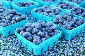 BLUEBERRY CROP SHARE BLUEBERRY CROP SHARE