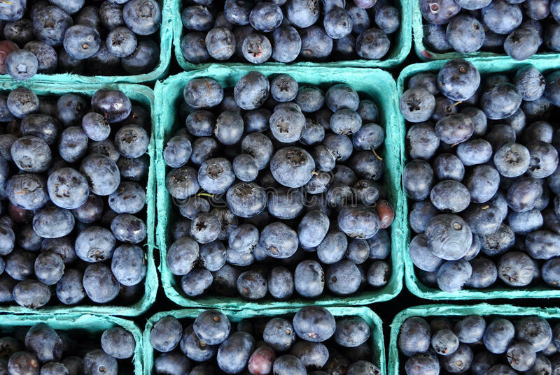 Blueberries (pre-picked) PINT Blueberries (pre-picked) PINT