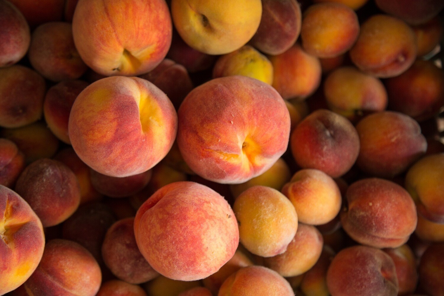 PEACHES - 3 lbs PEACHES - 3 lbs