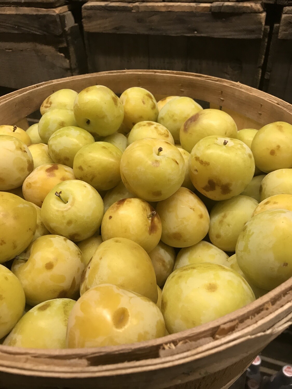 Yellow Plums - 3lbs Online Yellow Plums - 3lbs Online