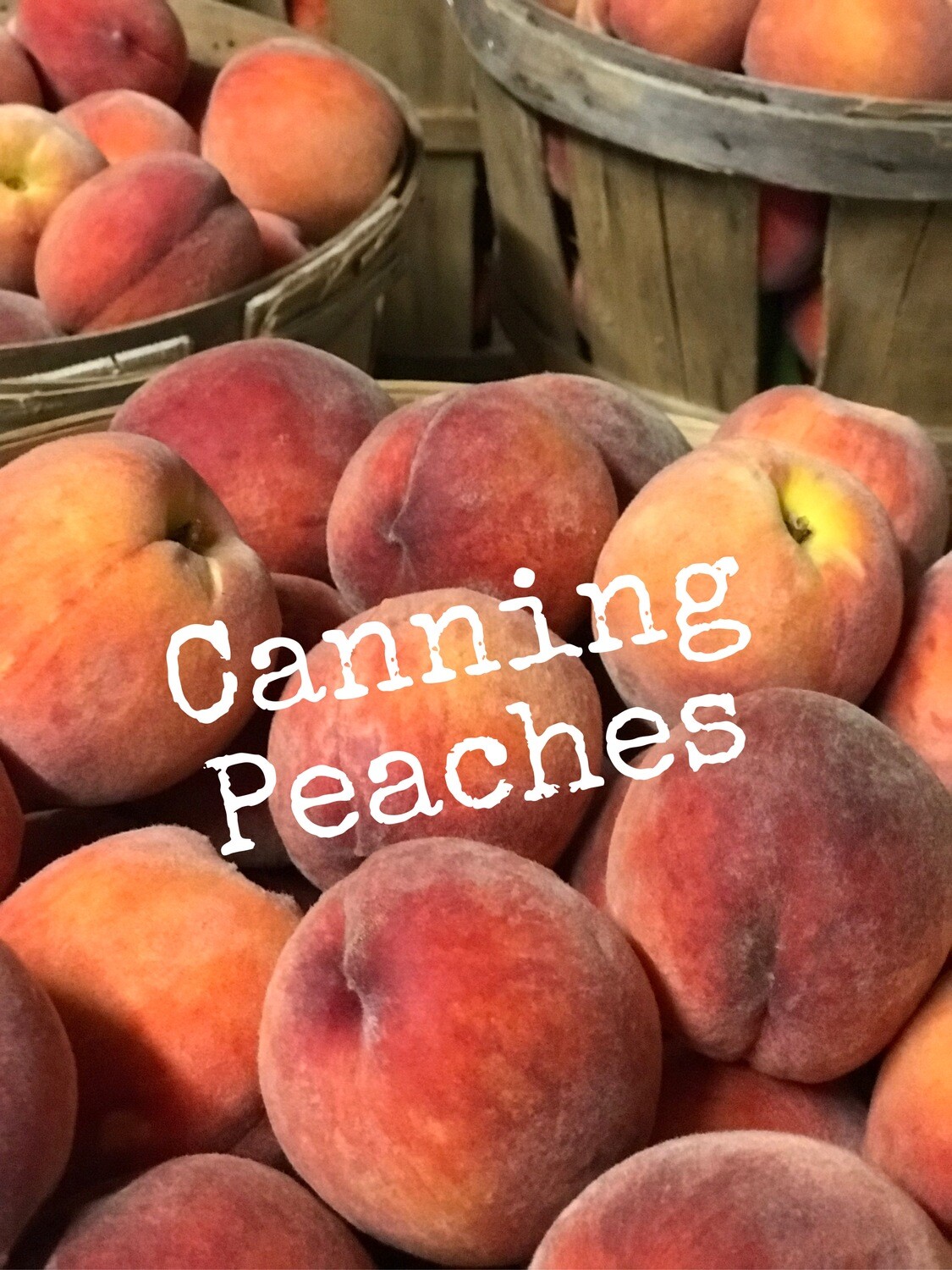 Canning Peaches - 10 lb Bag Canning Peaches - 10 lb Bag