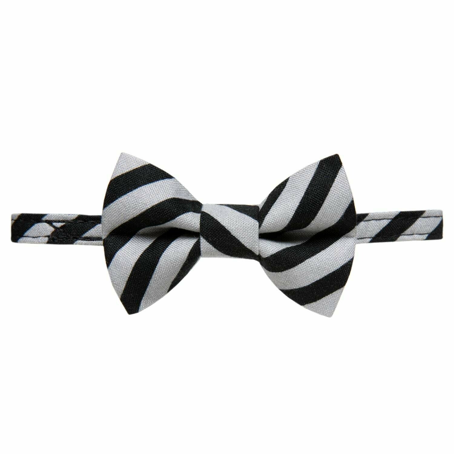The Black Tie Optional Collar + Bow Tie Set The Black Tie Optional Collar + Bow Tie Set
