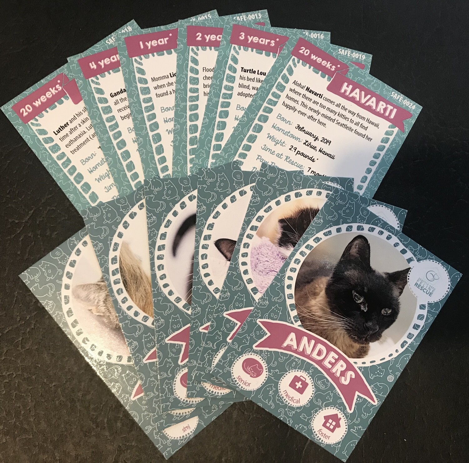SAFe Kitties Trading Cards - 6 pack