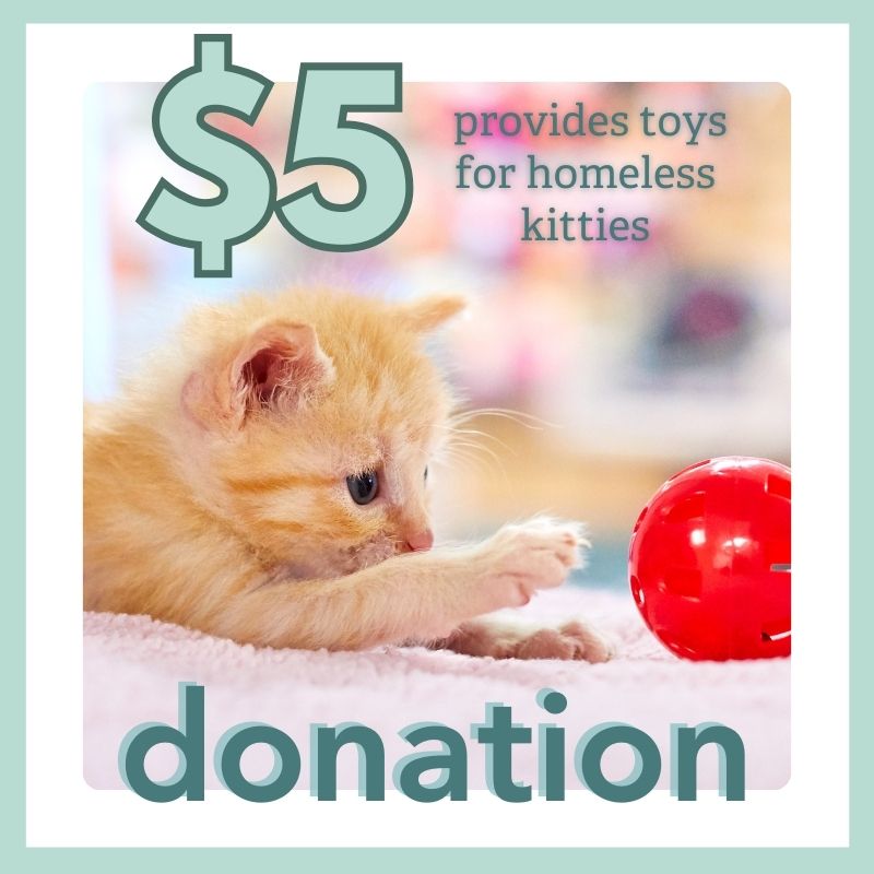 Donation - $5