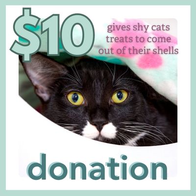 Donation - $10