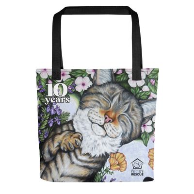 10th Anniversary Boo Close-Up Tote