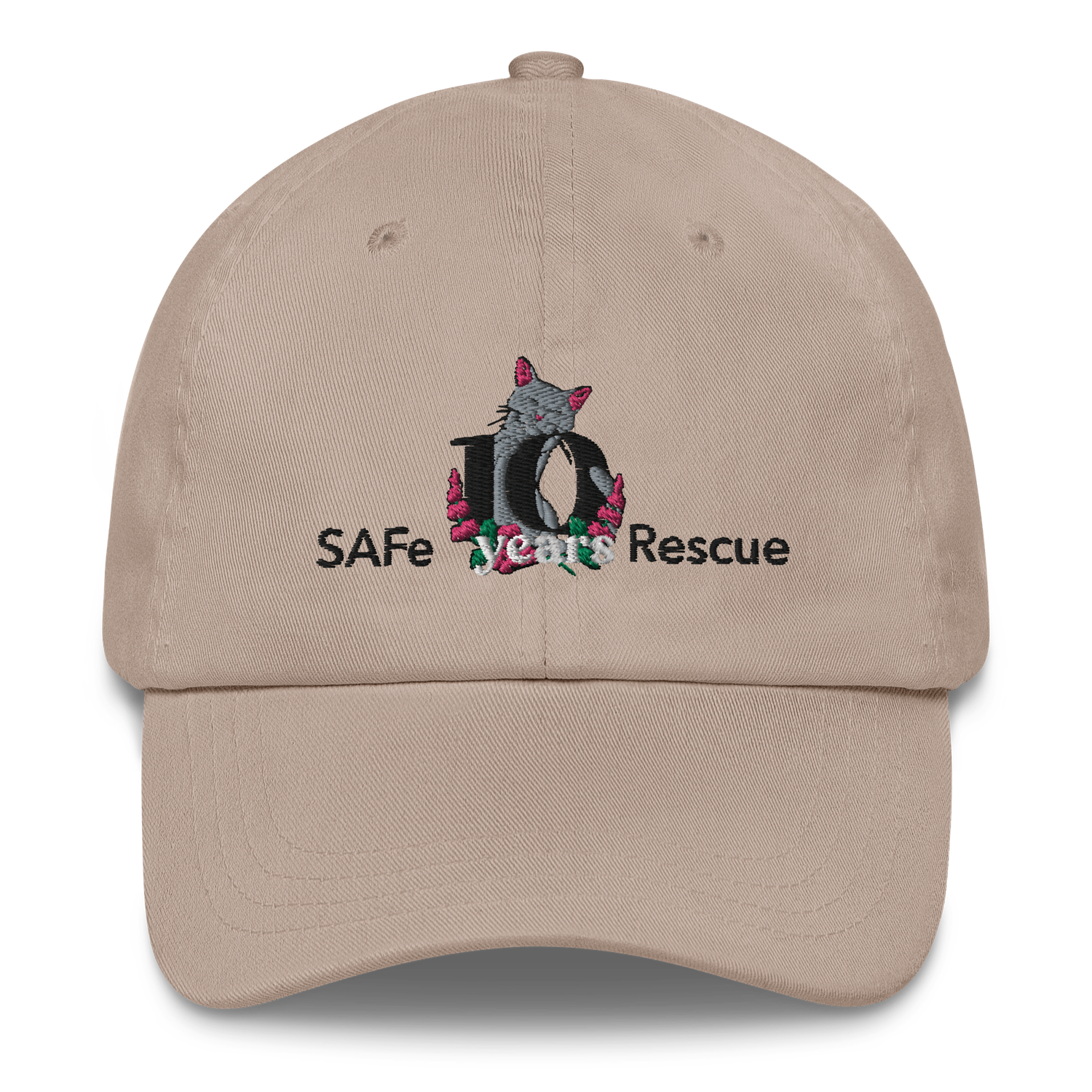 10th Anniversary Logo Hat