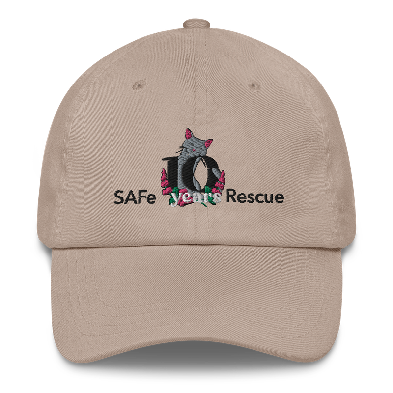 10th Anniversary Logo Hat