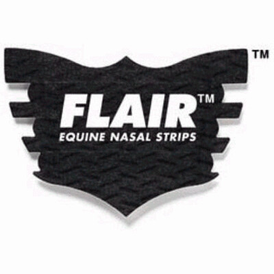 Flair Nasal Strips
