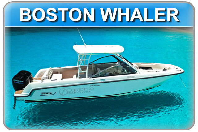 BOSTON WHALER