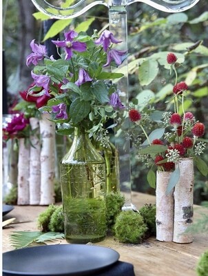 Natural Birch Vase