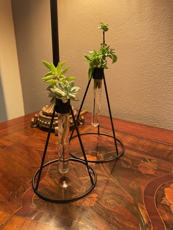 Beaker Modern Bud Vase