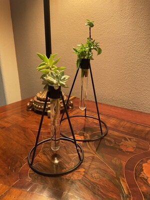 Beaker Modern Bud Vase