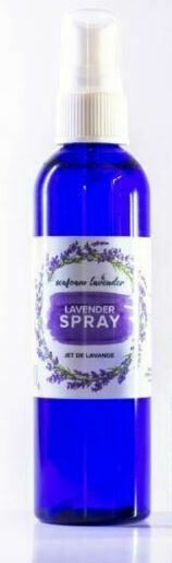 Large Lavender Spray- Seafoam Lavender