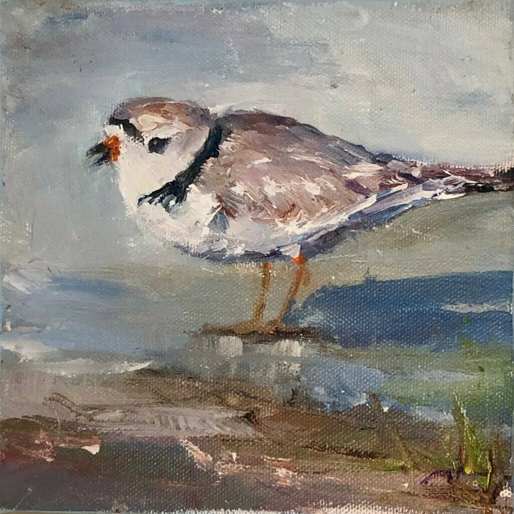 Oh Shore, Plover