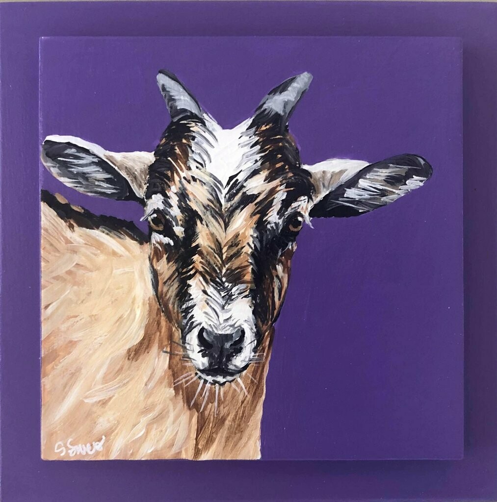 Goat on purple