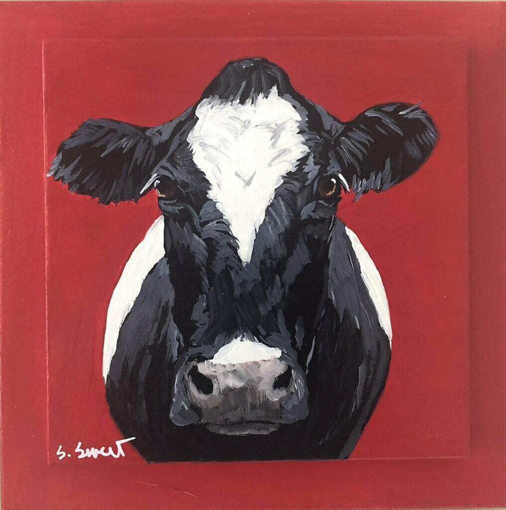 Holstein on red