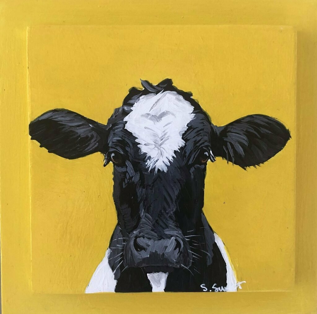 Holstein on yellow