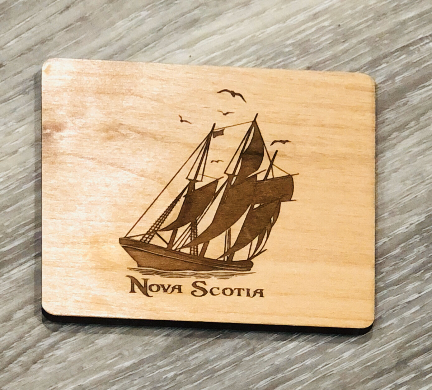 Salt Air Schooner Coaster