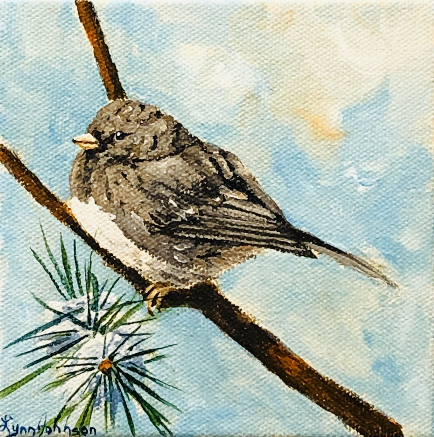 Snow Bird #16, junco 5x5