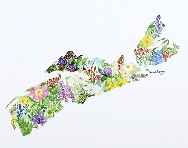 Nova Scotia Shoreline with Wildflowers Print- Sarah Duggan