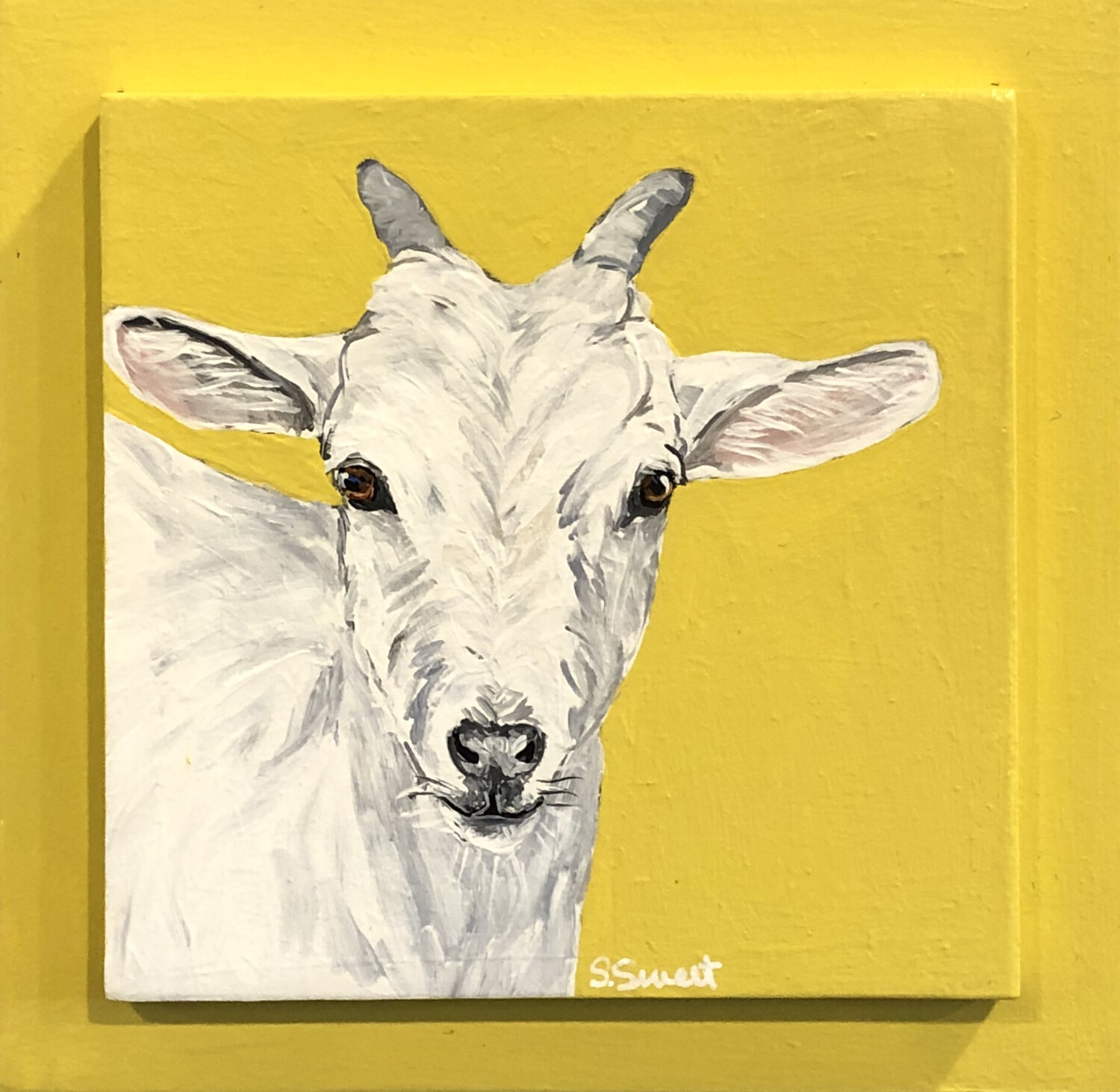 White Goat on Yellow