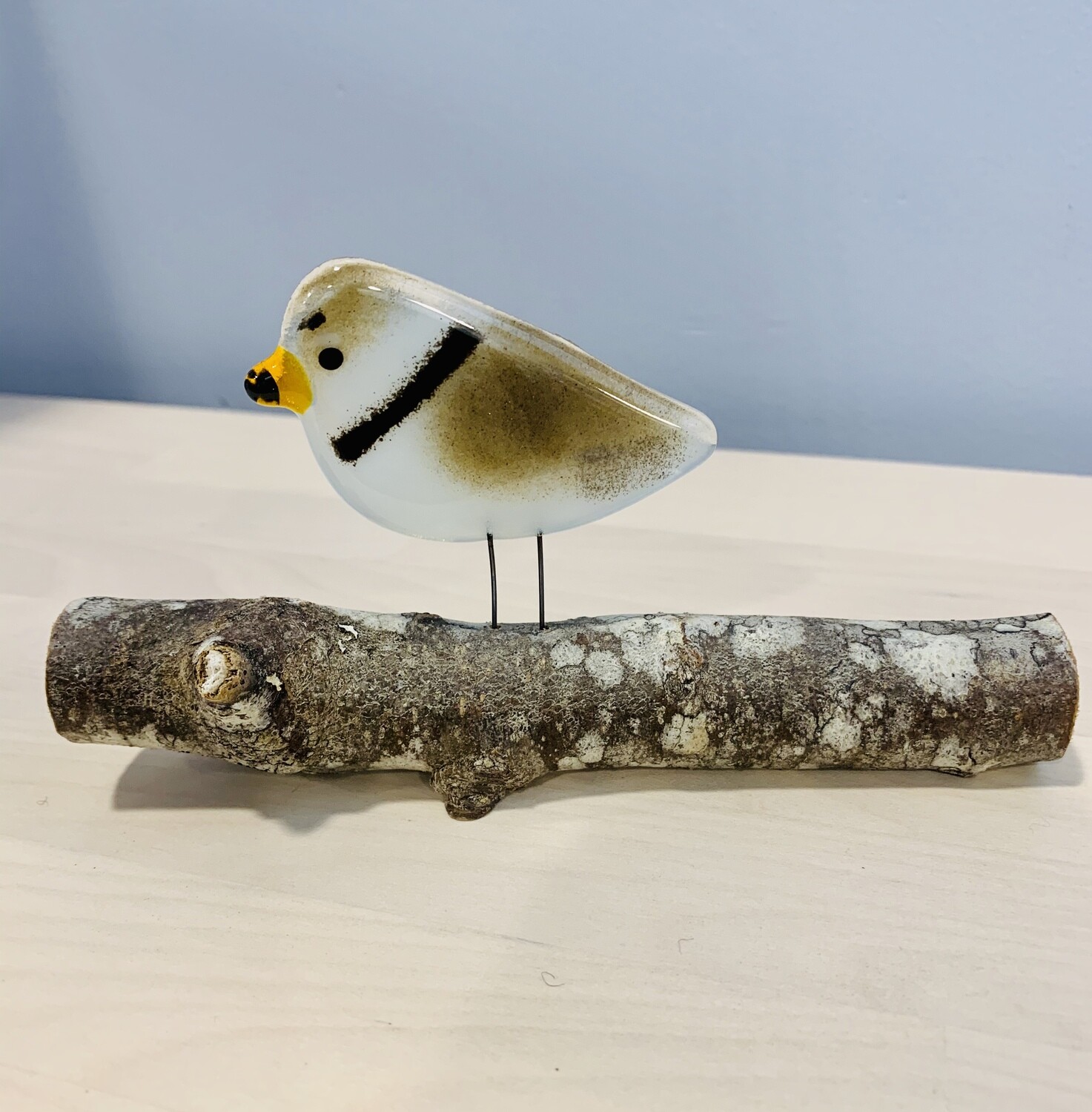 Glass Plover on Perch