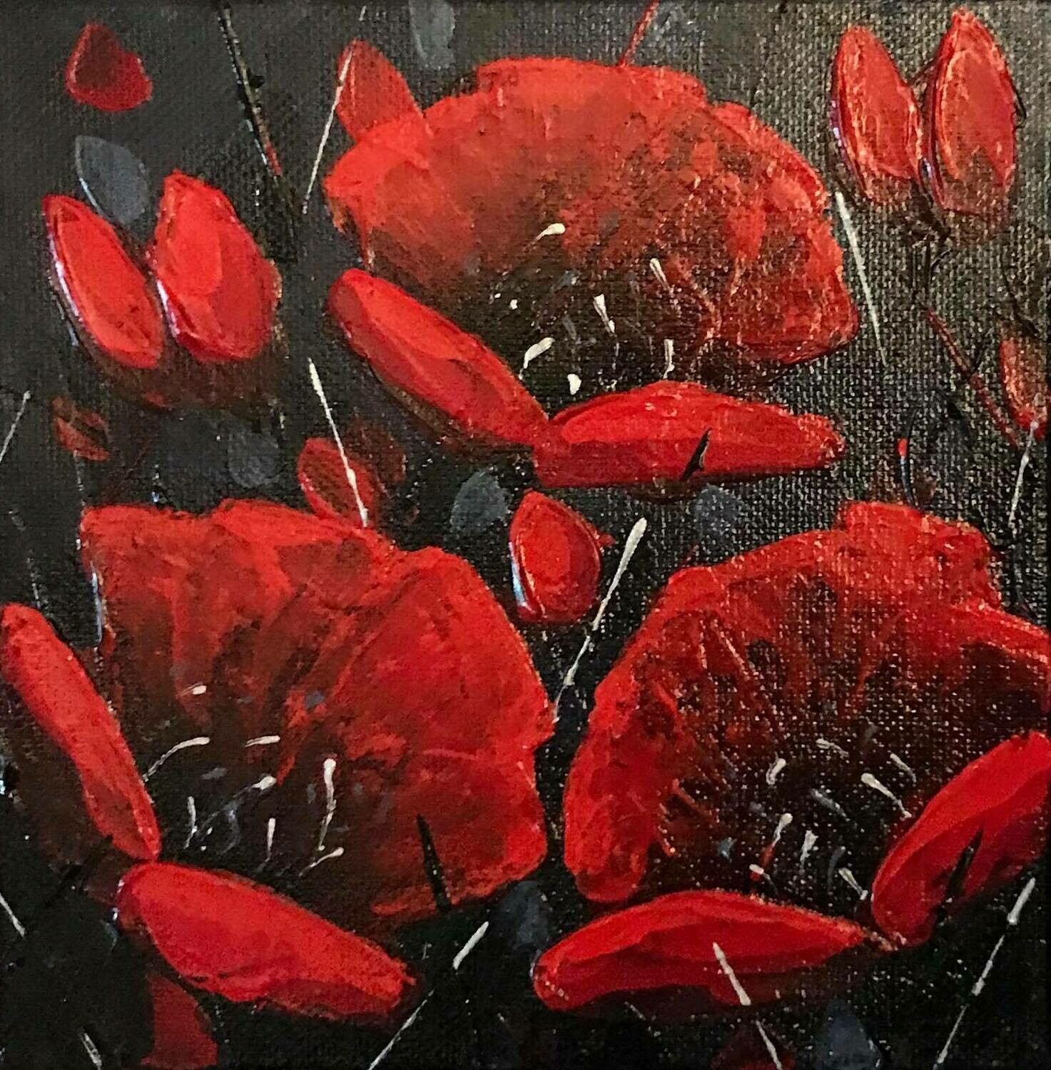 After Midnight Poppies 6x6