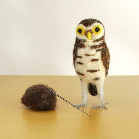 Burrowing Owl Felting Kit